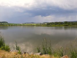 401 223 Vackův rybník - kontrola 17.6.23 (8).jpg